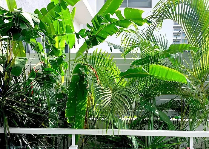 Darwin City Chic@Kube Apartments